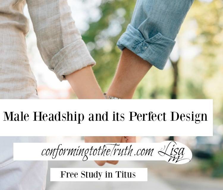 Male headship is God's perfect design for marriage. Join Conforming To The Truth in a Bible study in Titus to learn more.