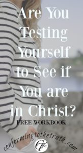 Test yourself to see if you are in Christ Jesus! 1 John gives us several tests to check and see in we are in Christ Jesus. We must not neglect this work. 