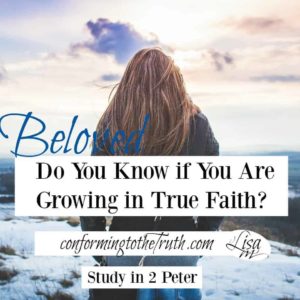 Do you know if you are growing in true faith? There is a way that seems right but its end is destruction. 