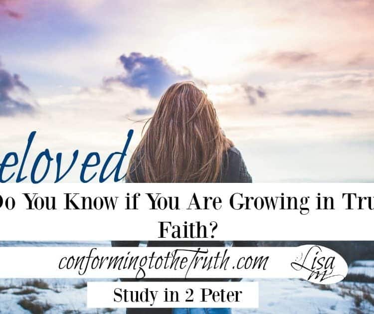 Do you know if you are growing in true faith? There is a way that seems right but its end is destruction.
