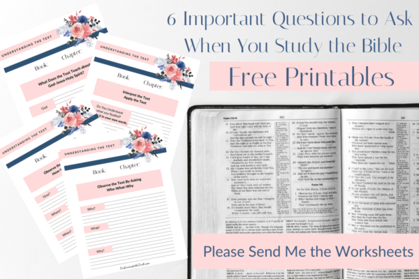 6 Important Questions to Ask When You Study the Bible