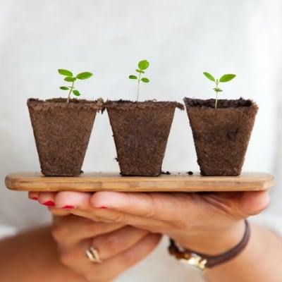 here must be an external call of the gospel. How can anyone believe in whom they have not heard? How can they call on whom they have not heard?